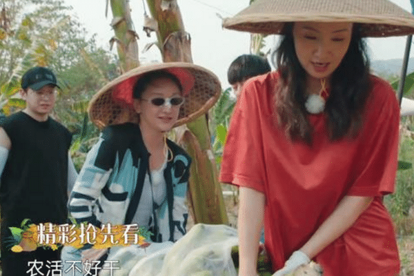 『周迅』《向往的生活》：女嘉宾都想续住蘑菇屋，只有她如愿，不愧是大牌！