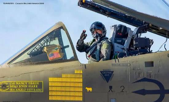 [空军]美空军正在训练，一头奶牛误闯靶场，身亡后飞行员用这种方式纪念