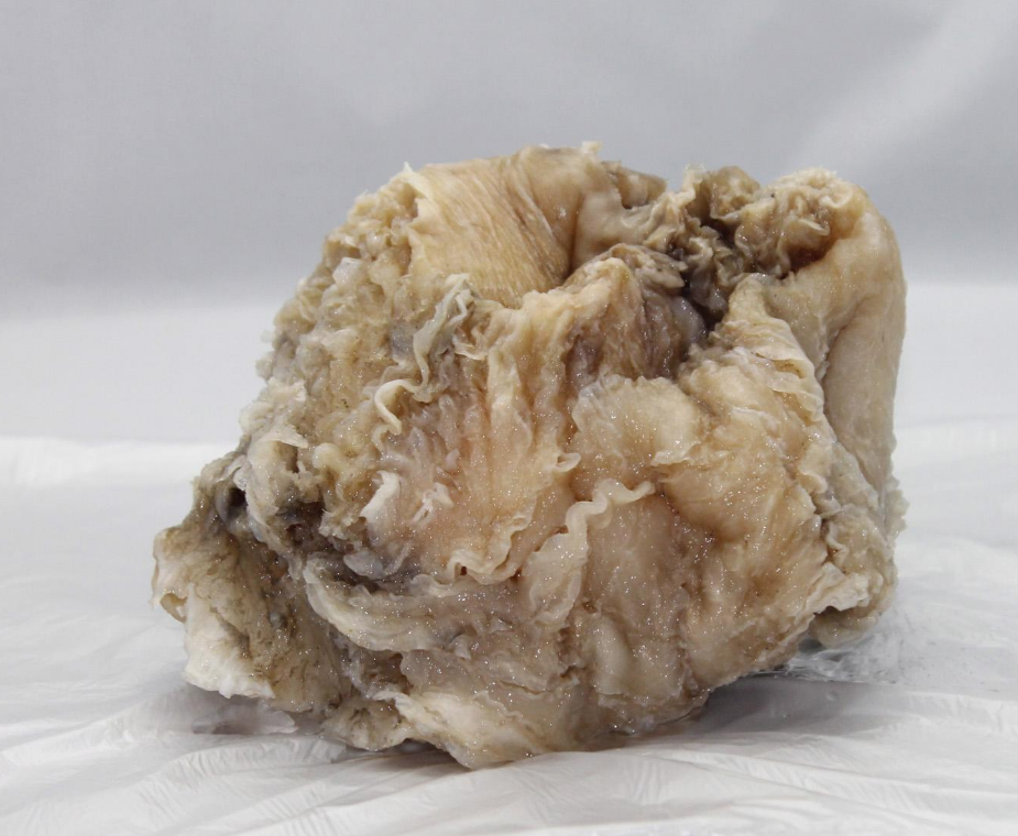 『科学家』“太岁”究竟是什么物种?科学家做出解释:它已违背自然规律!