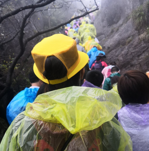 游山川|国庆黄山实拍：风雨交加人山人海，游客崩溃想回家却进退两难