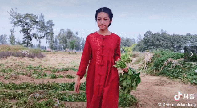 每天阅读|“河南李子柒”毕业为父变“网红”，192w粉丝坐等更新，连央视都点赞...