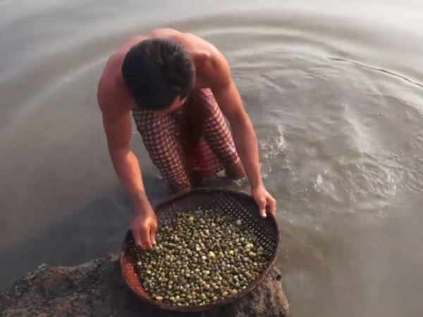 『野味』网红小哥吃200个“海贝”，掰开肉一看不对劲，网友：害人害己！