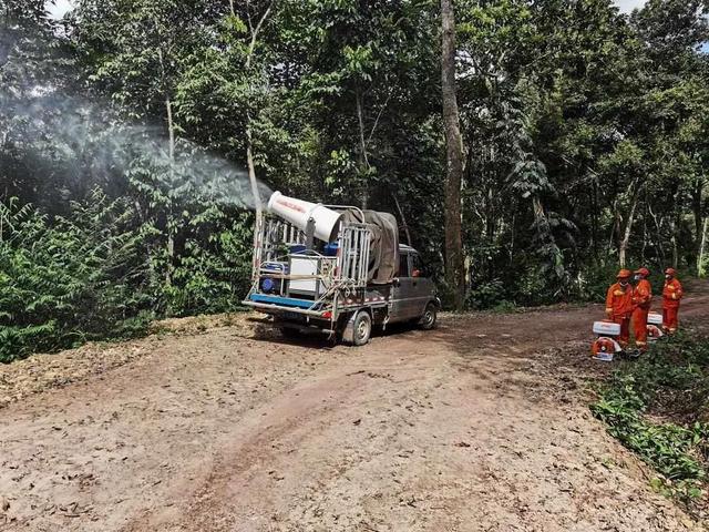 长春晚报|预警！密密麻麻铺天盖地，数以百吨被捕杀，目前仍不断迁入