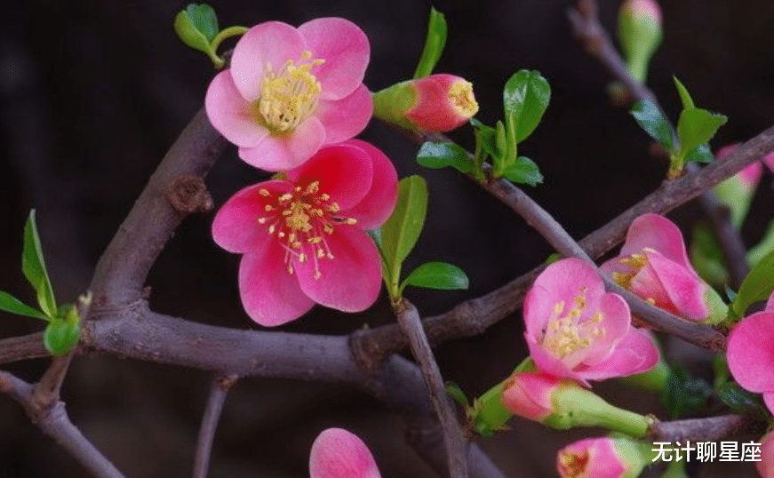 |未来五天,这4个星座将遇到新的机遇,纵横职场,事业攀升