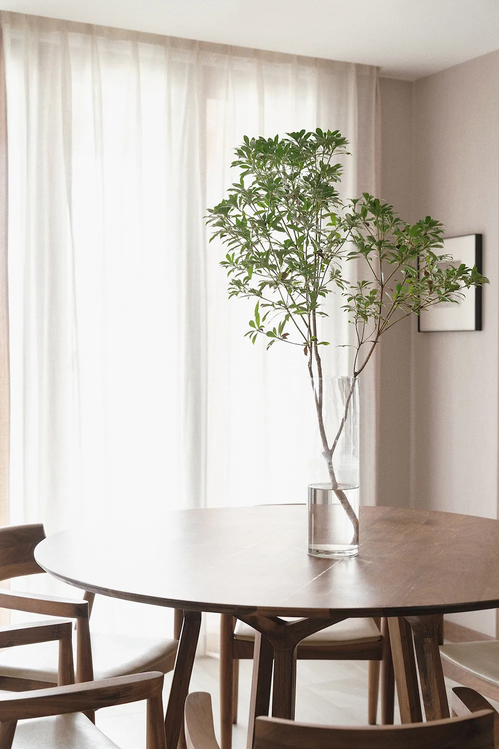 『』原木风，让简约更有格调！