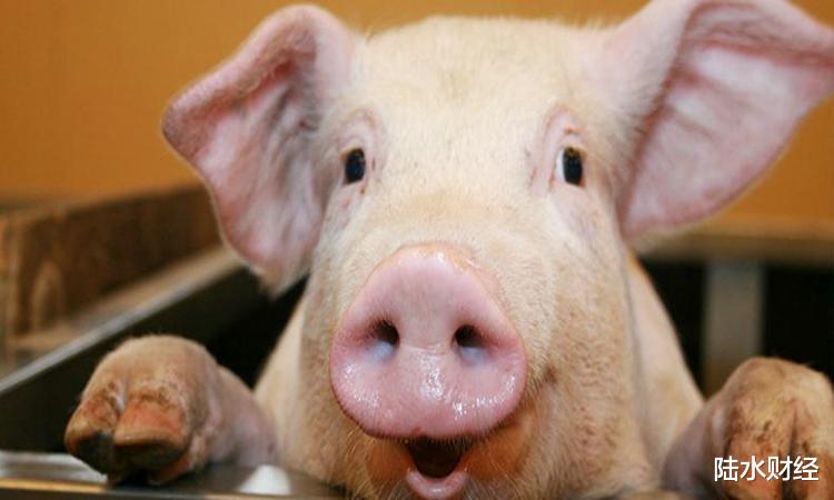 『猪肉』6月过后猪价再次“变脸”，但好消息在赶来！猪肉价格或回归正常