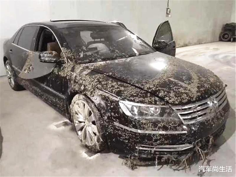 [豪车]小伙15万买泡水大众辉腾，维修工拆开检查后：这运气咋不去买彩票！