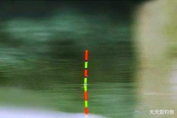 灵敏度|调漂技巧：漂尾粗细、长短对灵敏度的影响，粗尾、细尾各有特点！