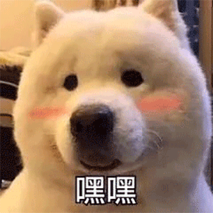 港珠澳大桥|好家伙！11人在港珠澳大桥钓鱼，现场图亮了！