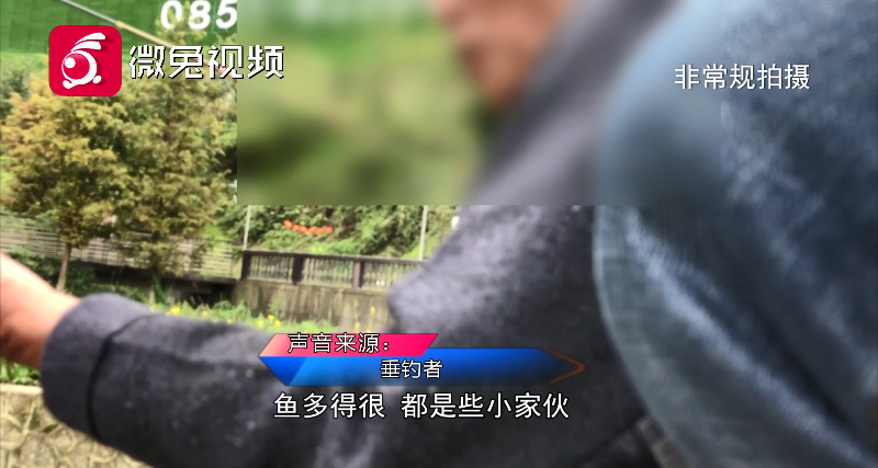观山湖|屡禁不止！贵阳一湿地公园内现40余名垂钓者，市民：影响的是生态环境！