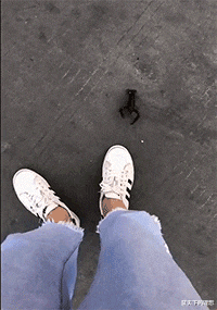 鲍鱼|“入秋的奶茶到底是什么意思？哈哈..难道真的是单身久了？”