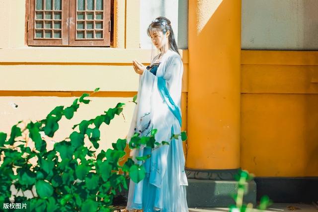 大象@十大最适合女生的大学专业就业排名——大象AI志愿填报