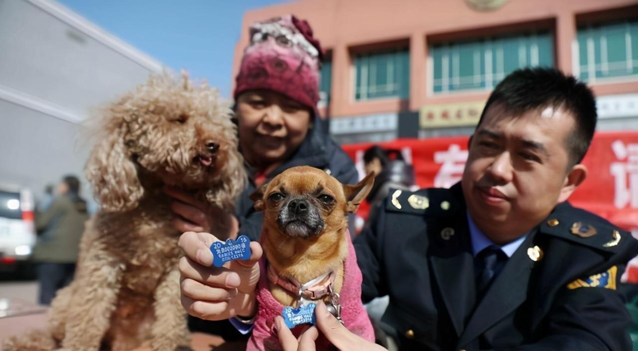 事业单位|事业单位迎来改革,这5类将晋升为公务员,乌鸦变凤凰