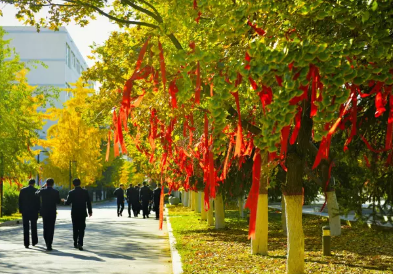 [中国刑事警察学院]这所警校很容易被录取，录取分数不高，毕业就是金饭碗
