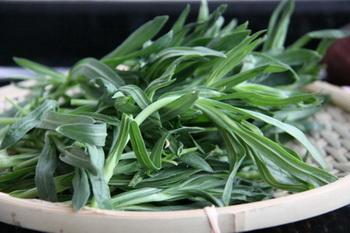 长寿■我国产量很大却没人吃，在日本被当作“长寿菜”，含钙比牛奶高