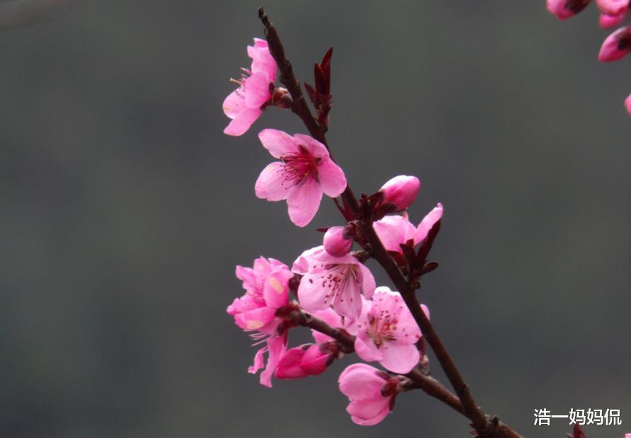 「生肖」6月24号钱财不缺!家有这三个生肖,日子富贵满堂,桃花缘不断!