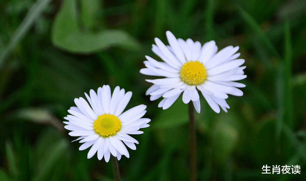 |11月，真爱难寻，无动于衷，无悔无怨，也终将无缘，白爱一场