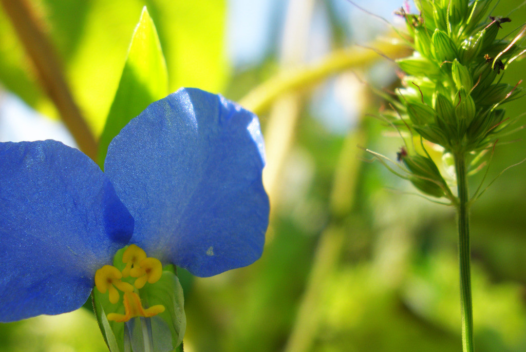 星座女|五官精致、让人过目难忘的星座女，翩若惊鸿，美得令人心动