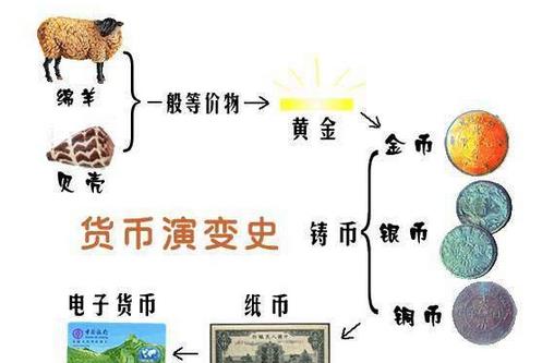 贝壳|贝壳既然是古代货币，古人为何不去海边多捡些？网友：想多了