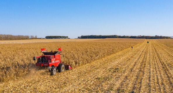 越南■多个国家禁止粮食出口，我们该怎么办？