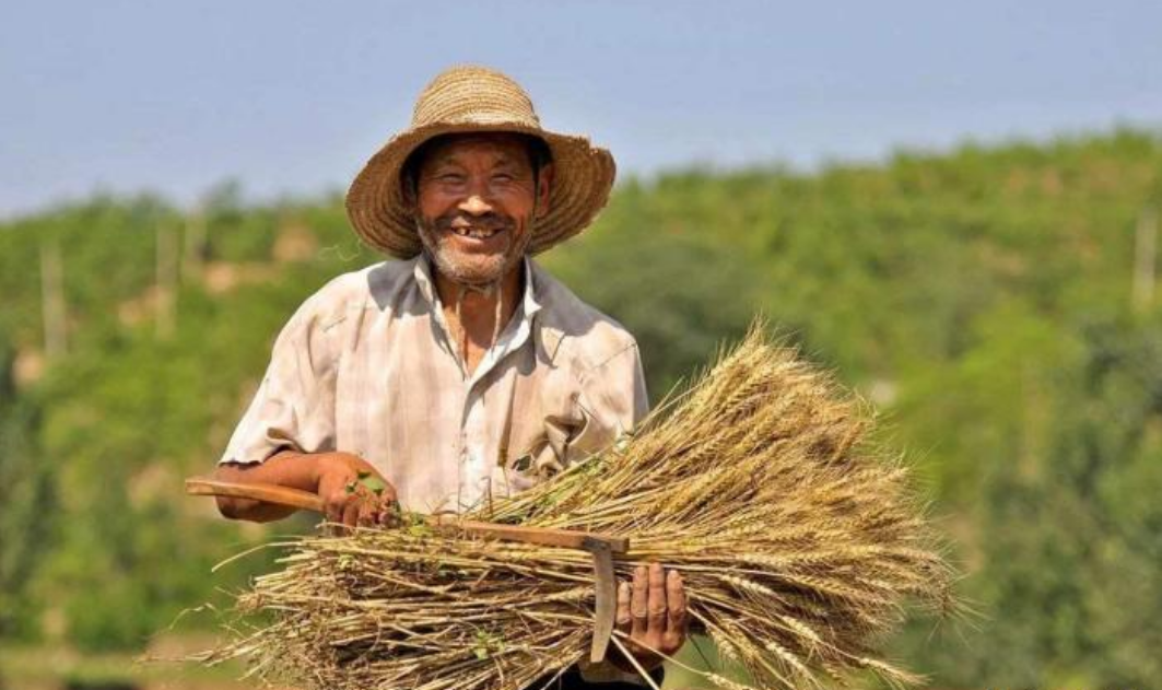 『经济学』经济学家：只有消灭了农民，中国才会富强！