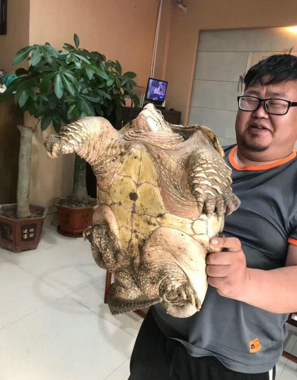 「」这种北美掠食者正在我国水域“到处祸害”，凶猛胆大，甚至不怕人