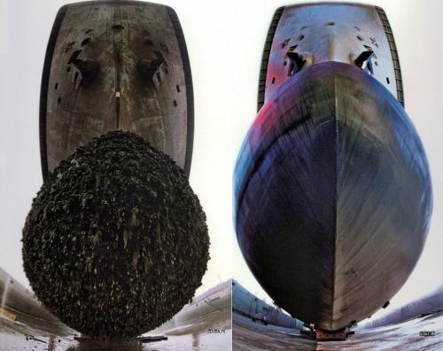 辽宁省|辽宁舰刚回国时，竟带回来一船底“海鲜”，专家看了都头皮发麻