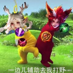 鲁班大师■王者中最难打国标的三大英雄，上省榜只需5000，国标比玄策都难！