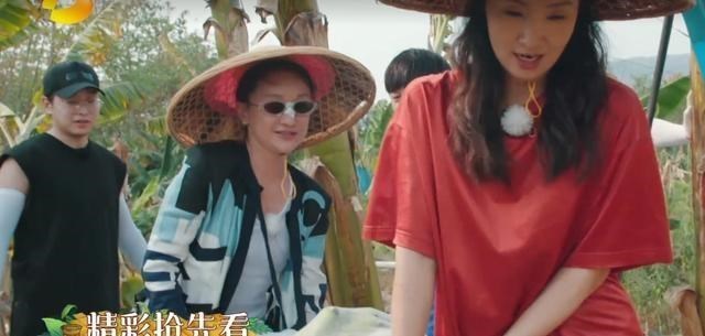 「向往的生活」黄晓明不带杨颖，小陶虹不带徐峥，《向往4》多的是“沾亲带故”