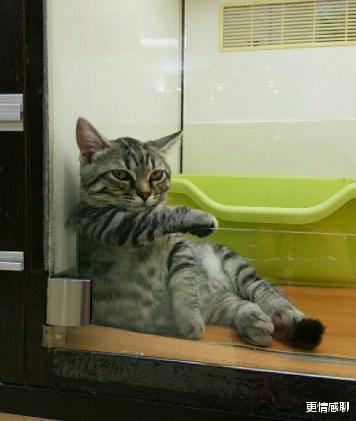 小升初|你们愿意找一个低学历的对象吗?我本科,男友小学,总是鸡同鸭讲