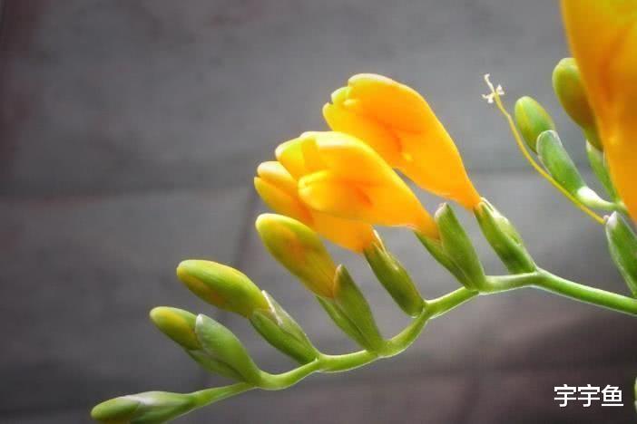 生肖|9月开始贵人助力，走狗屎运，让人惹不起的四大生肖