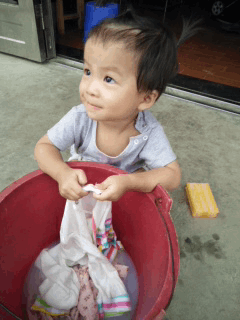 鱼片|“满心期待的玫瑰蛋糕，打开包装一看……”我差点哭了