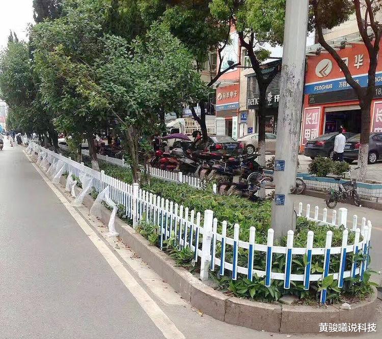 『上海市』为什么中国城市喜欢搞绿化带，而欧洲国家几乎没有？看完瞬间懂了