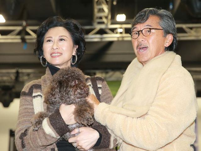 『叶倩文』真正的实力派歌手，叶倩文的每一部经典作品，都很受人喜欢