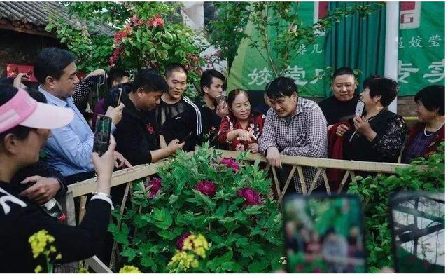 朱之文|就在前天19: 06, 被人民日报力挺43天后, 朱之文2次出手\砸\村民饭碗
