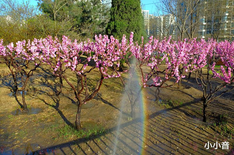 「萧忆情」萧忆情为《小花仙》手游演唱的主题曲《花途》，勾起了许多人的少年记忆。