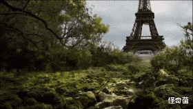 ：人类消失后，多久才会找不到存在过的痕迹？答案你不会想到