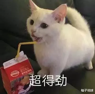 余嘉豪▲以下克上3连胜！詹姆斯儿子也要靠这个中国男孩！