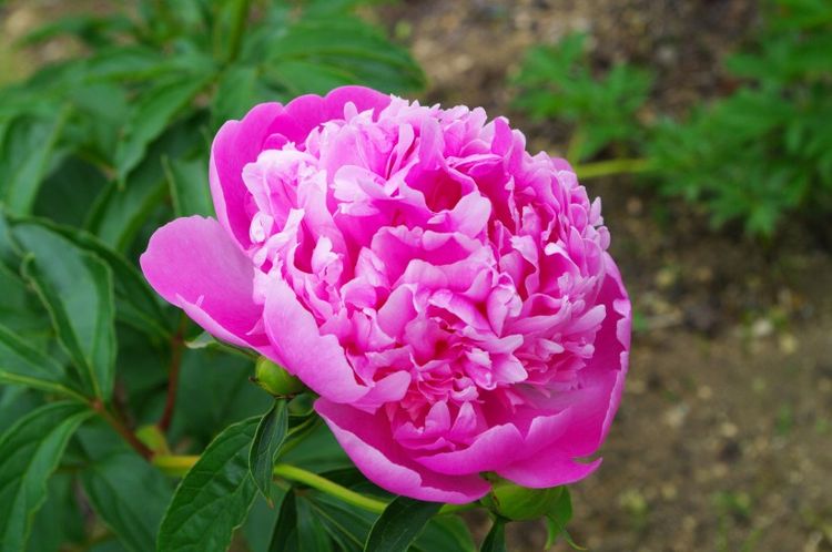 生肖|10月下旬开始财星庇护，钱财满满，前途光明的四大生肖