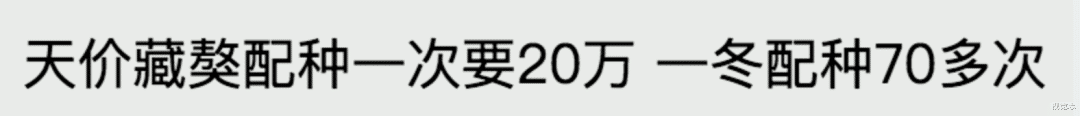 视觉志|那个身价千万的网红,终于被你们毁了