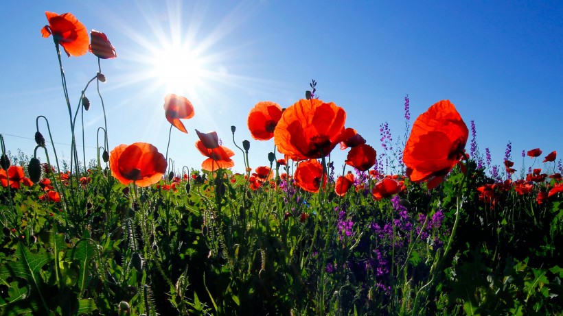 『运势』未来两个月喜事传千里，财运旺盛存款涨，财运一旺到明年的四属相