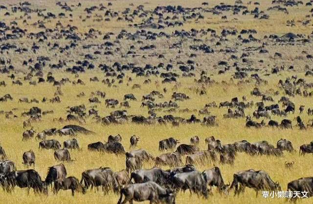 「银河系」在浩瀚宇宙面前，人类显得如此渺小，那生命存在的意义到底是什么？