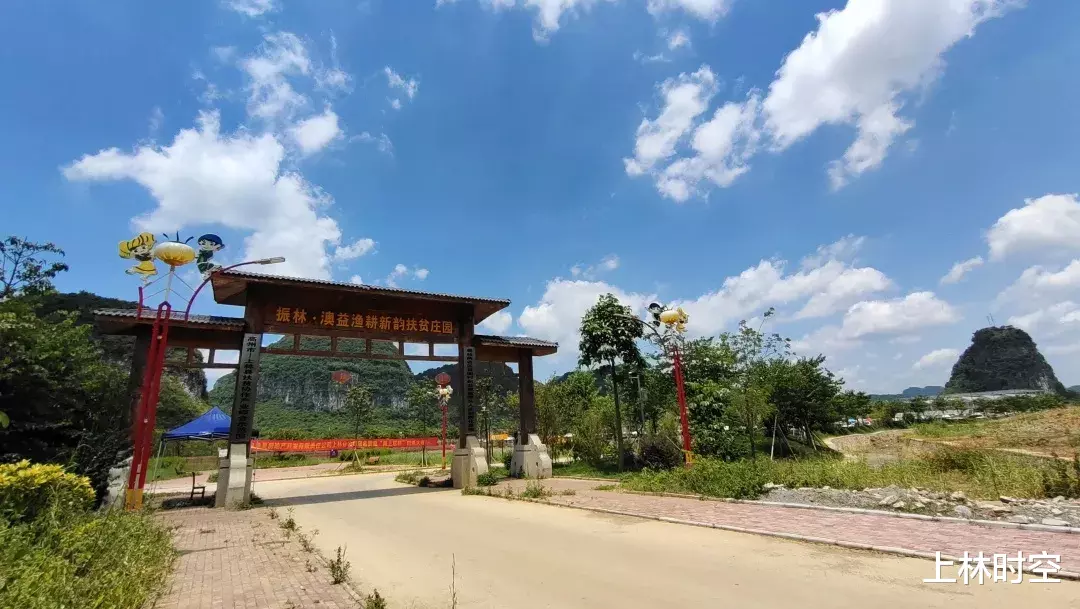 上林|过瘾!200名垂钓高手集聚上林!究竟谁才是大师?