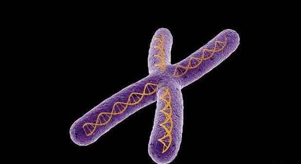 科学家|人类能否实现永生?科学家给出解释,人们却不愿相信!