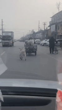 |“给网恋对象发了张美甲的照片，他就把我拉黑了？！”哈哈哈