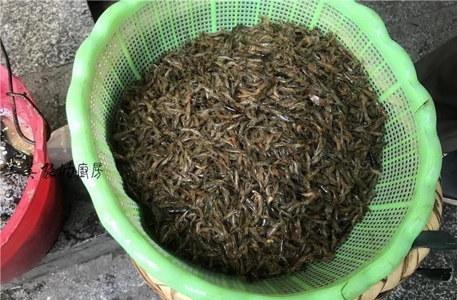 【香椿】中国美食“最原始”城市，外地人去菜市场几乎崩溃：一个都不认识