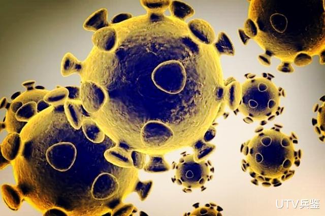 「姐姐」之前研发的疫苗没用？当前流行的新冠病毒已变异，抗体不一定有用