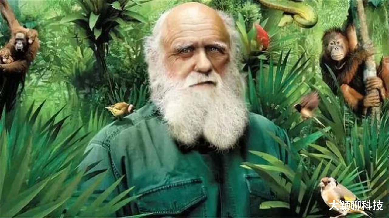 黑猩猩|科学家认为六百年前，外星人提取黑猩猩基因创造人类，你同意吗？