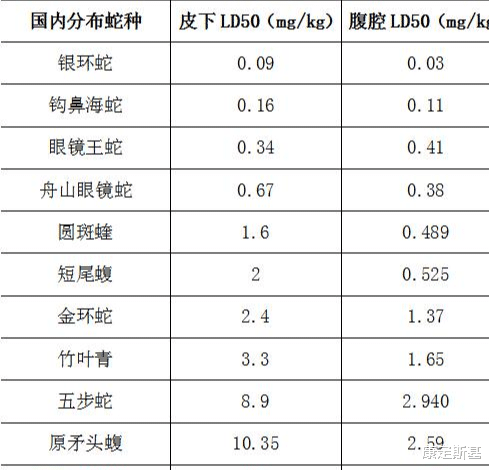 莽山烙铁头|中国特有的珍稀毒蛇，号称毒性最强体型最大，却只是个吹牛蛇