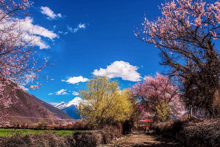 [波密]进藏详细攻略篇：第六天